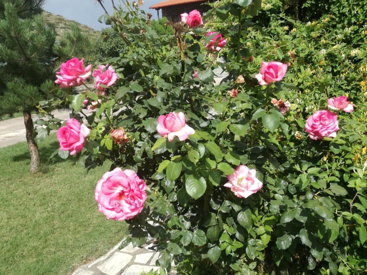 Prespa Resort & Spa Platy  Екстериор снимка