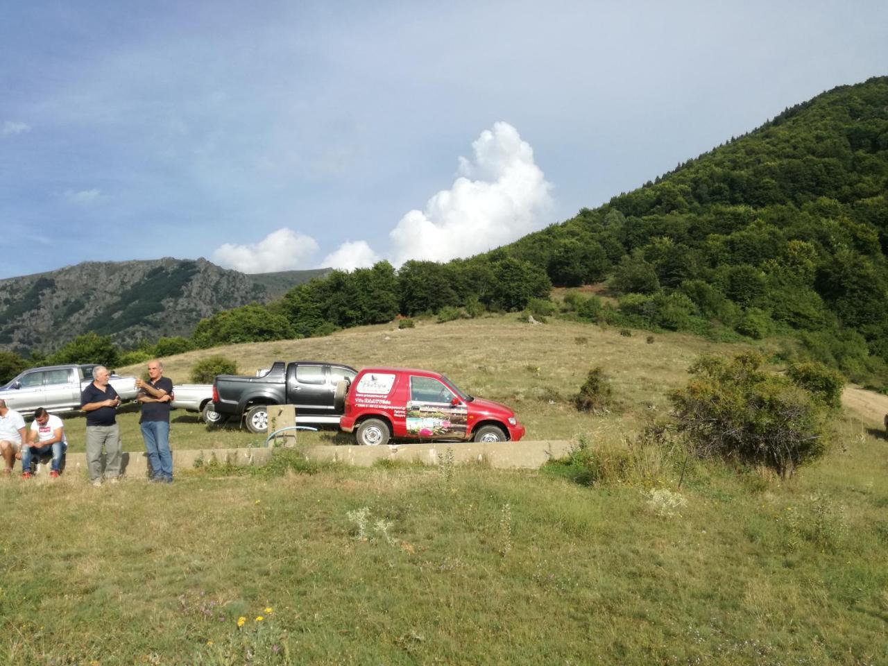 Prespa Resort & Spa Platy  Екстериор снимка