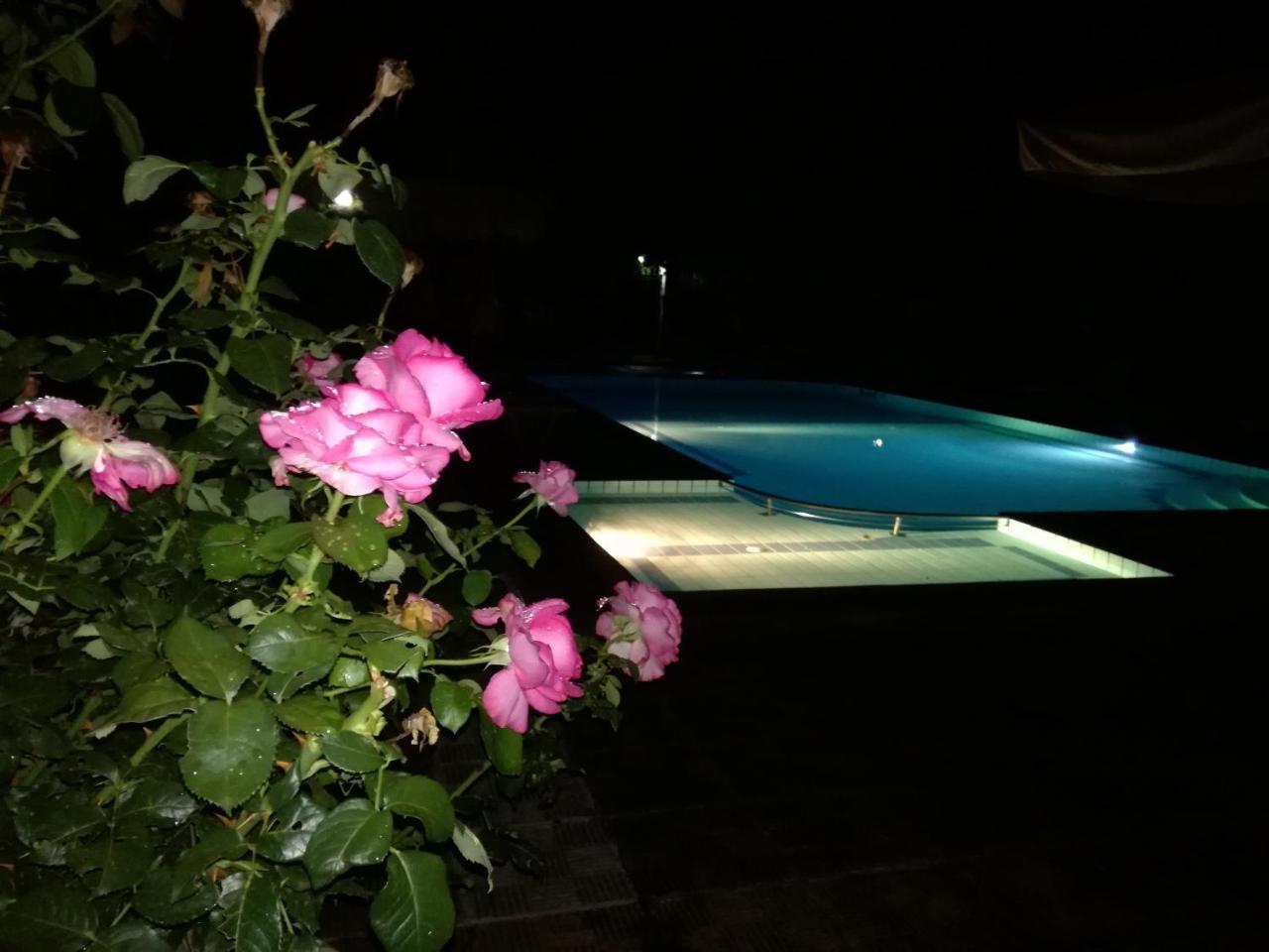 Prespa Resort & Spa Platy  Екстериор снимка